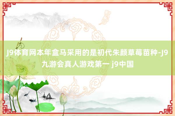 J9体育网本年盒马采用的是初代朱颜草莓苗种-J9九游会真人游戏第一 j9中国