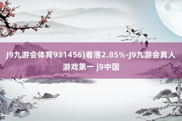 J9九游会体育931456)着落2.85%-J9九游会真人游戏第一 j9中国