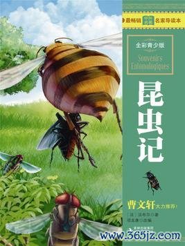 九游会j9体育(中国)官方网站鉴定的主东谈主夺回了我方应有的职权-J9九游会真人游戏第一 j9中国